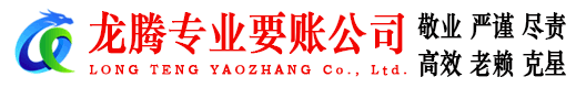 蒙城龙腾讨账公司